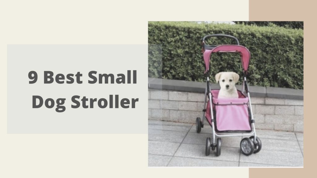 small dog stroller