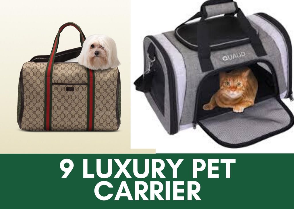 luxury pet carrier
