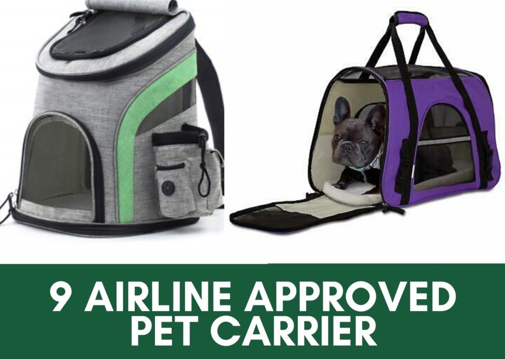 Best Airline Approved Pet Carrier