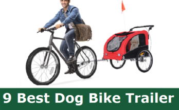 Best Dog Bike Trailer Review