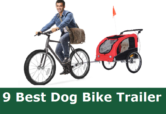 Best Dog Bike Trailer Review