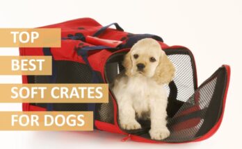 Best Soft Dog Crates