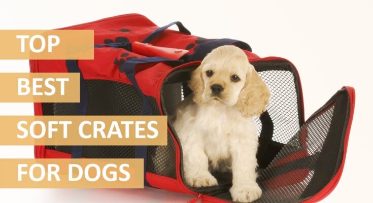 Best Soft Dog Crates